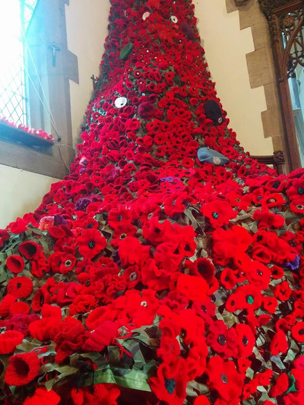 Poppy cascade at Rawdon