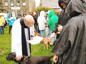 Animal blessing dog.jpg