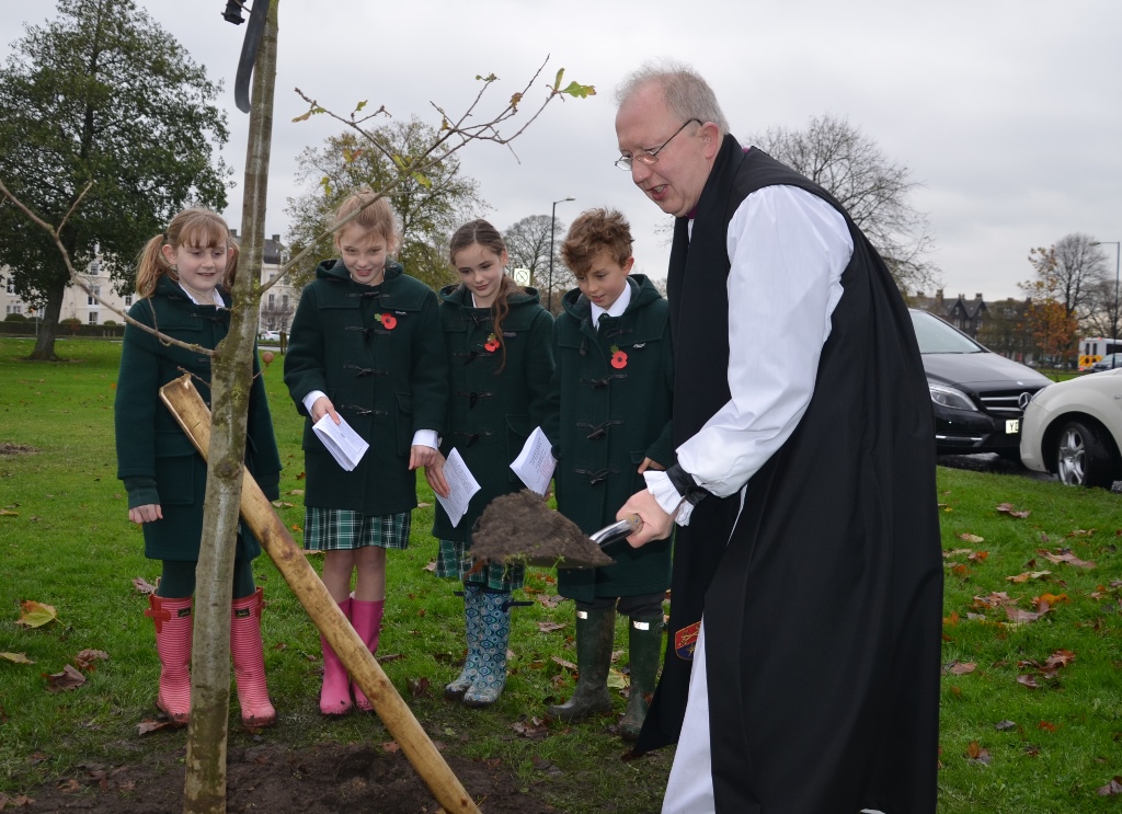 Tree planting1