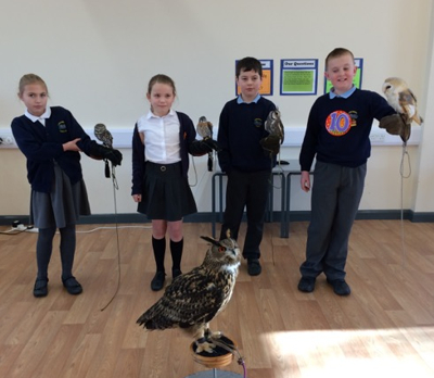 Children enjoying birds of prey in new hall