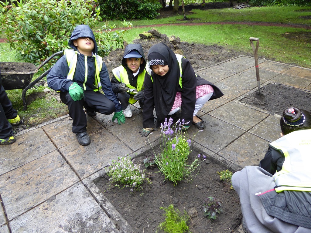 Manningham planting out