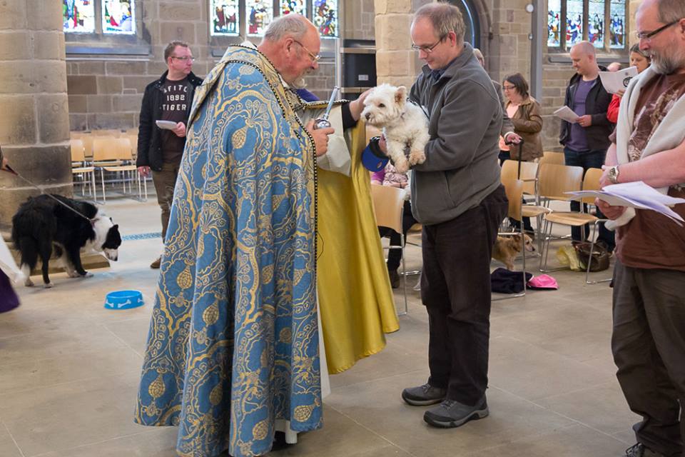 Canon Tony blessing one of the dogs at the pet service