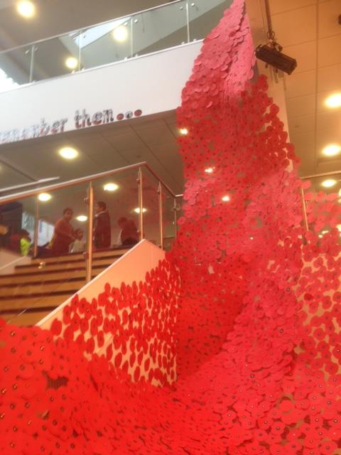 Poppy display at Headfield Junior School