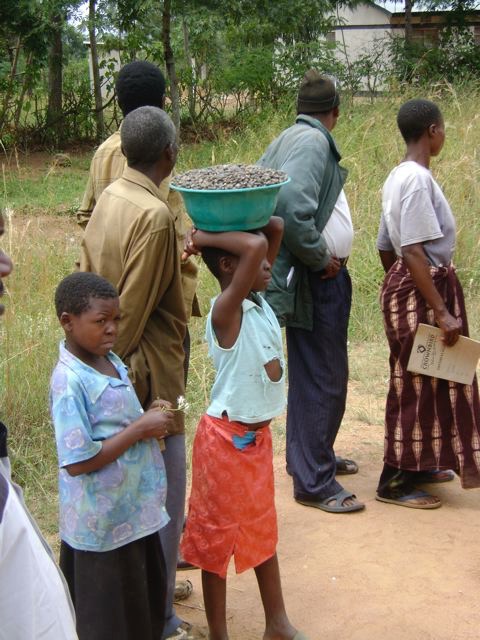 The girl in Mara carrying seeds in a bucket on her head to sell for money for school books