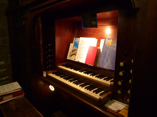 Denman organ