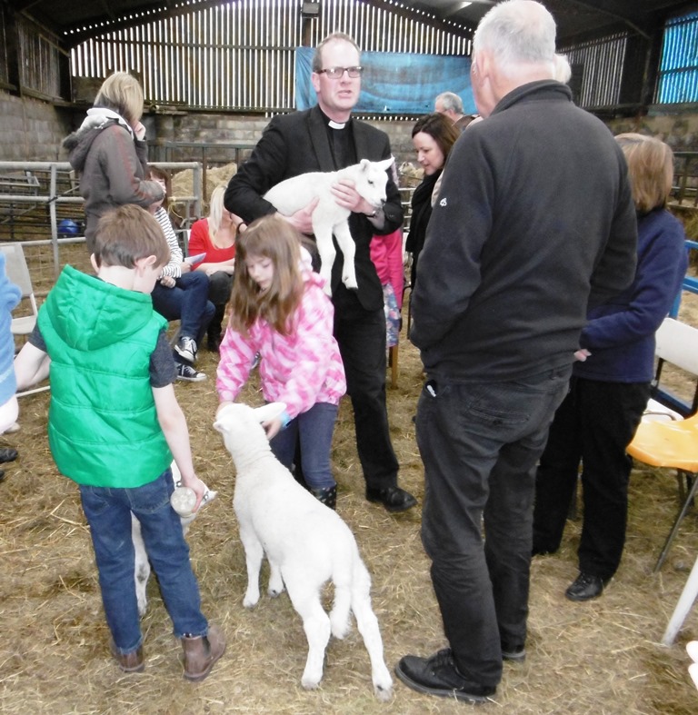 Lambing service