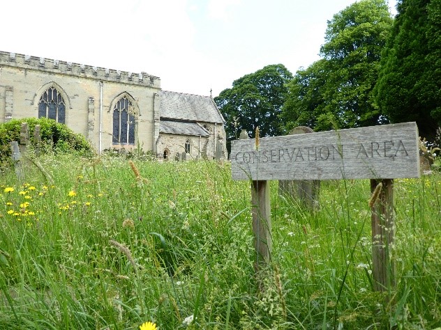 Conservation area in a churchyard